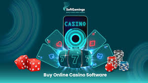 The Surge involving On the web Casino houses: A new Electronic Betting Innovation